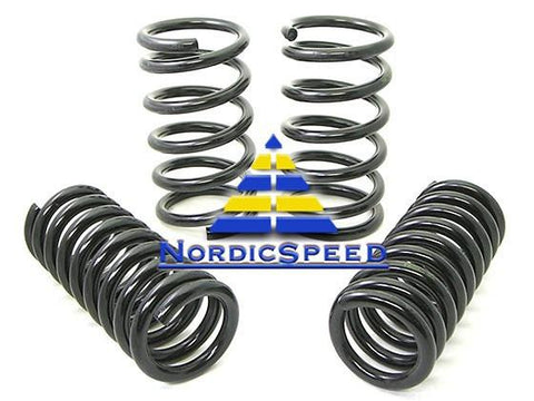 Sport Lowering Spring Kit-330.7802-NordicSpeed